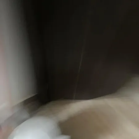 Max-well Paviljoni Daire