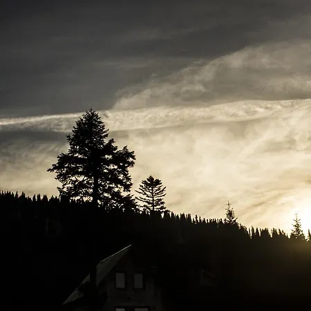 Max-well Paviljoni Jahorina